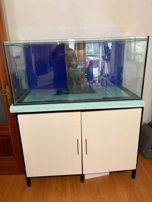 Aquário e Acessórios