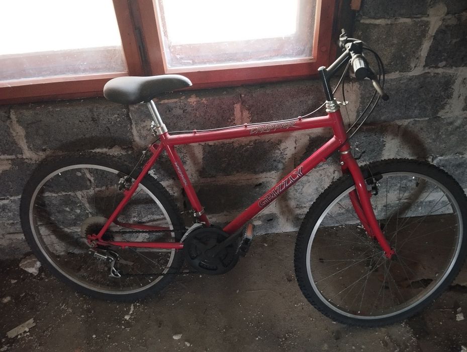 Rower męski Trapper Grizzly