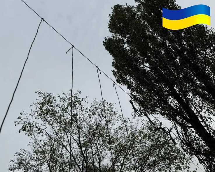 Антидронова штора сітка 6х3м для захисту Паракорд 6мм Зелений