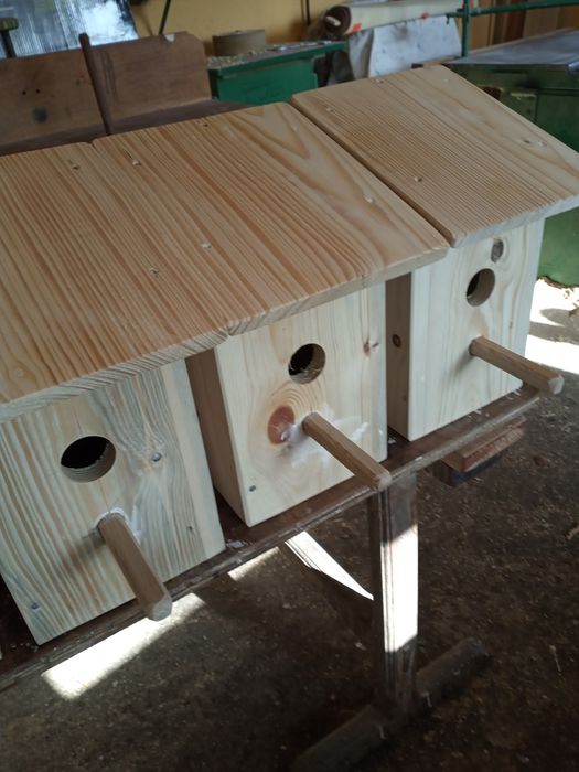 Budki lęgowe dla ptaków