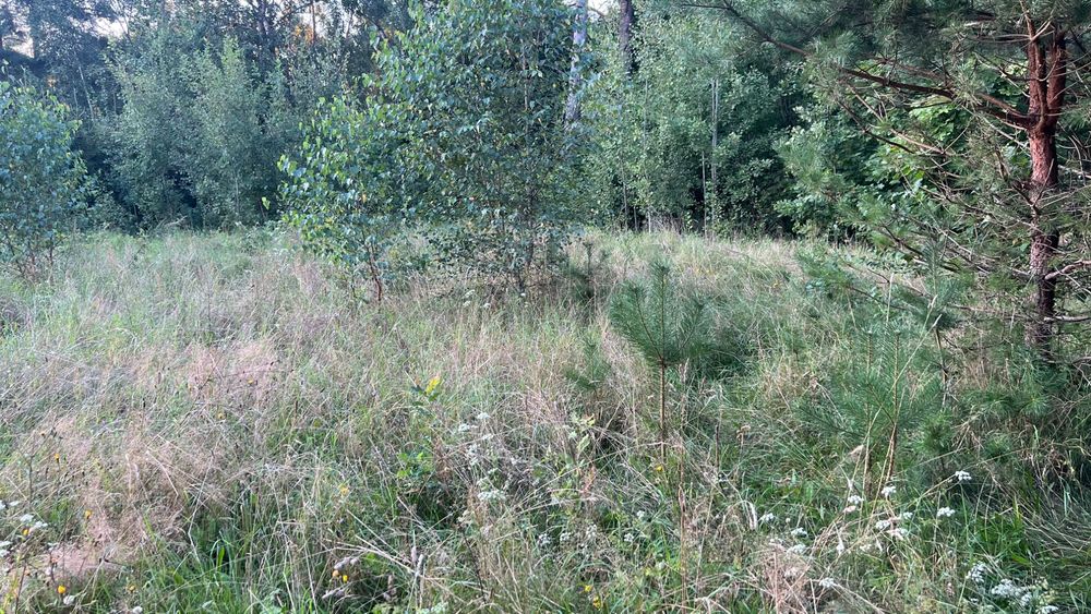 Sprzedam działkę budowlaną w miejscowości Kosewo - Więcej