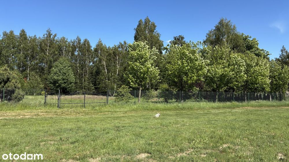 Bezpośrednio- wyjątkowa działka budowlana, zieleń, cisza, natura - Widok 3