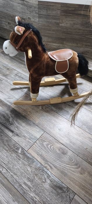 Konik na biegunach