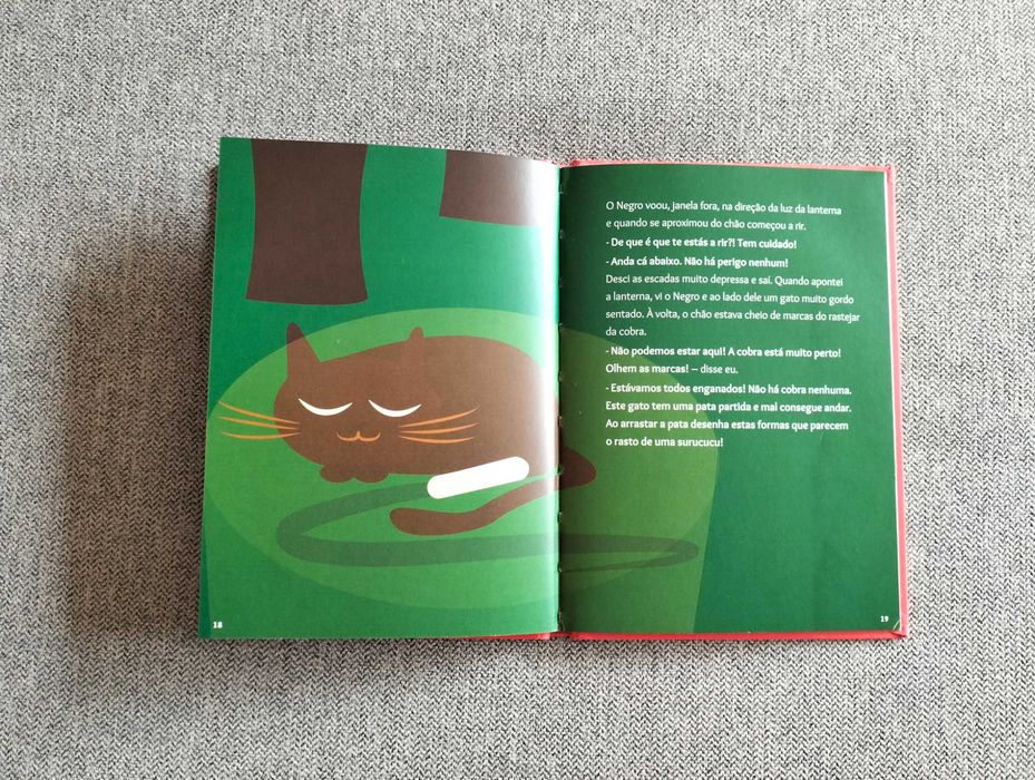 Livro juvenil "O Gato Surucucu e o Corvo Negro" de Rita Redshoes