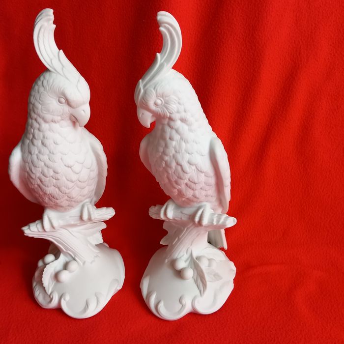 Casal de Catatuas e guarda Rios.V.A.