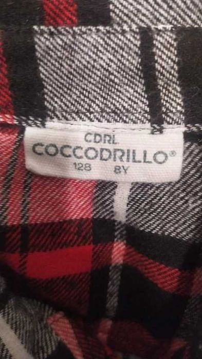 zestaw 4 koszul coccodrillo 128 dla chłopca