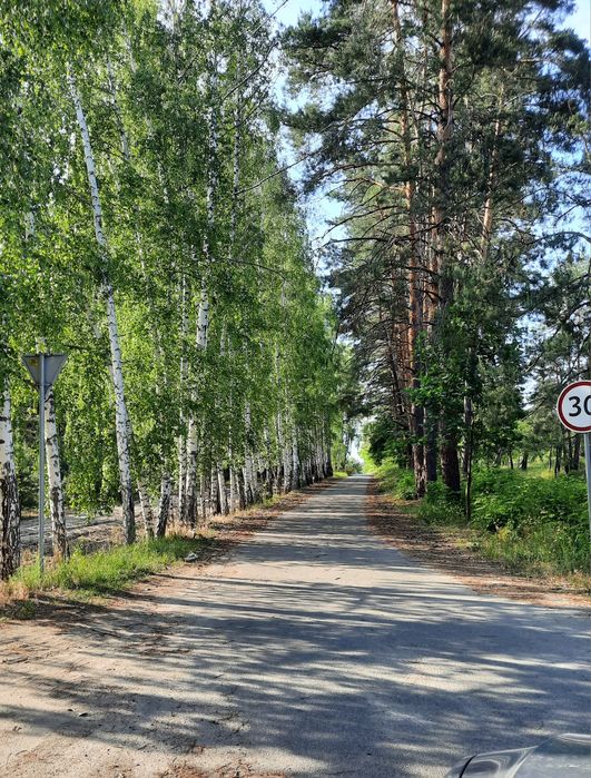 Земельна ділянка 16 соток під будівництво | Лютіж | 15 км Київ | Газ, світло, асфальт, інтернет