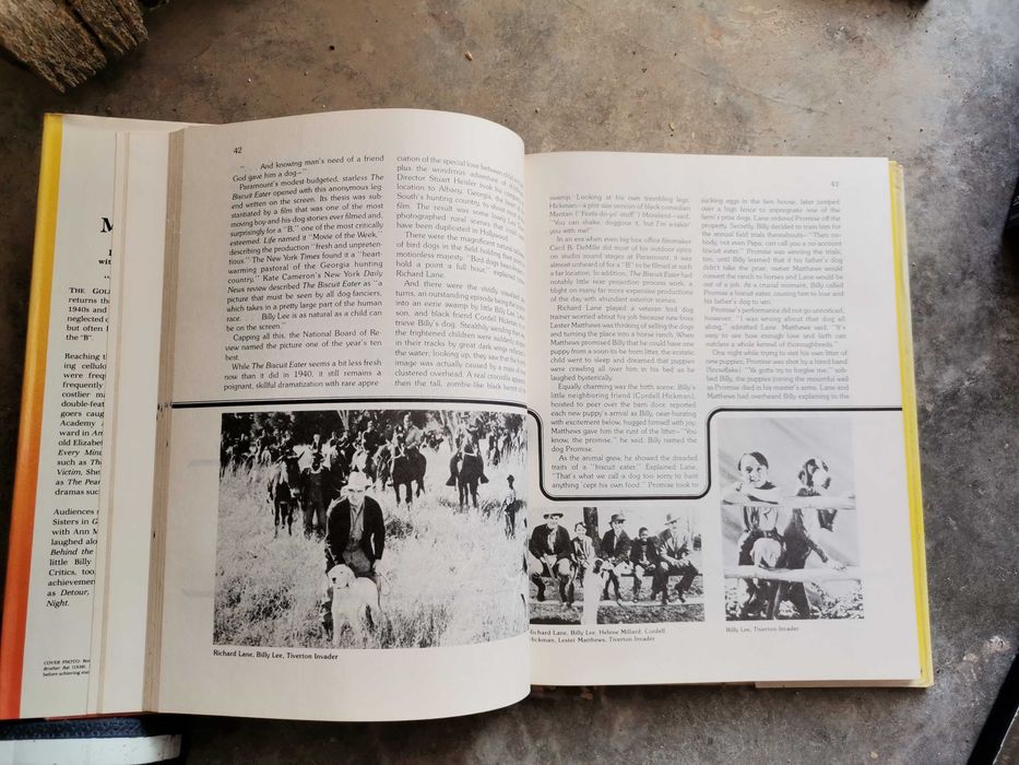 Livro The Golden Age of B Movies