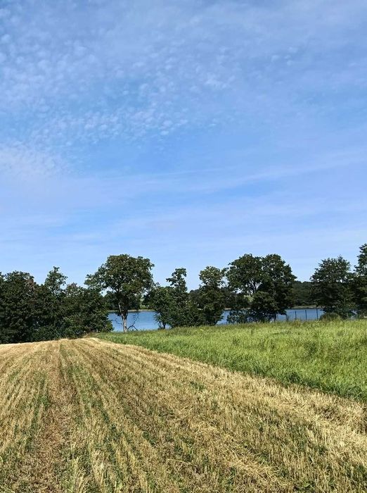 Działka budowlana nad jeziorem z własną linią brzegową - Widok 3