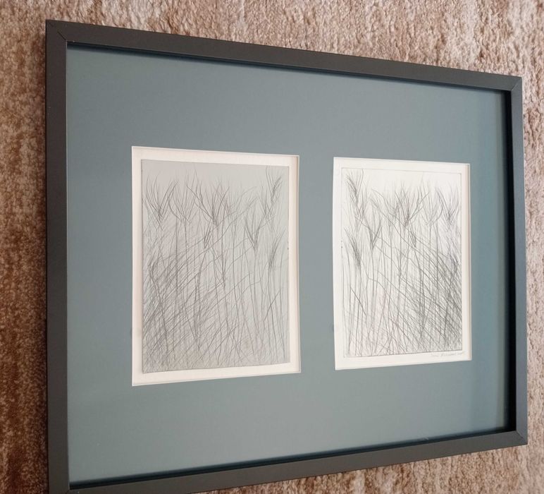 Quadro José Rosinhas 2015