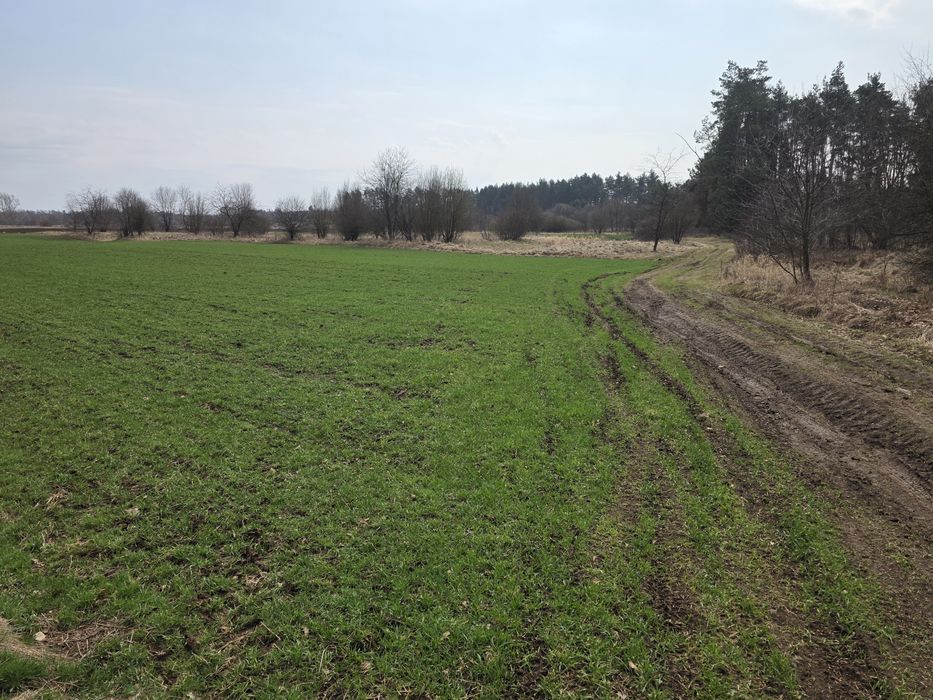 Sprzedam działkę rolną w Wolicy gmina Chęciny powiat Kielecki - Widok 4