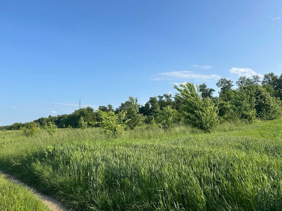 (5) Продам земельну ділянку в Лукашівці 4422