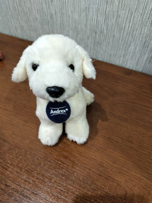 Цуцик лабрадорчика