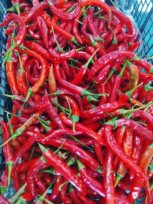 Malagueta Cayenne