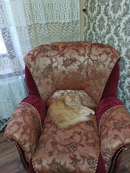 Диван у вітальню