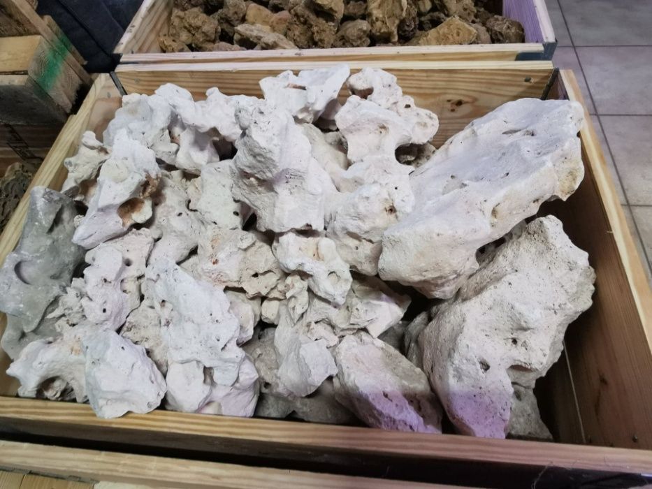 Pokrywa Diversa Aristo 80x35 LED Sklep Akwarystyczny Turkusowe Zoo