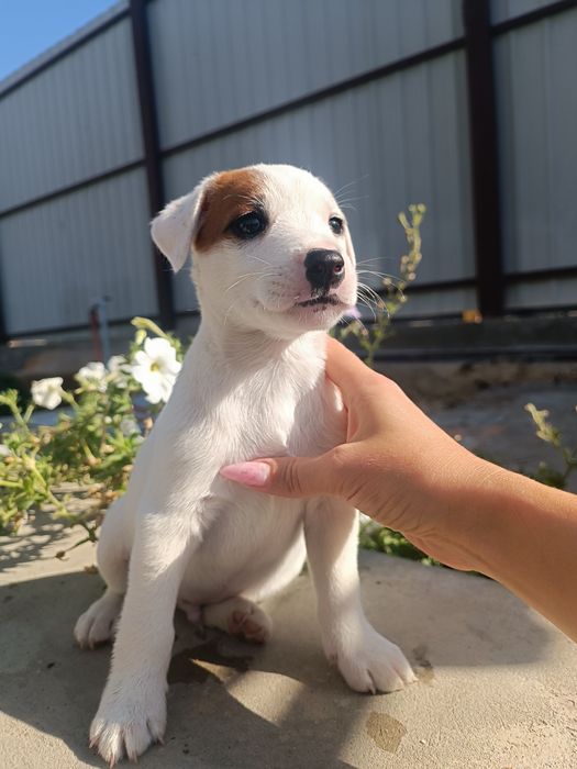 Вот такой пацан ))