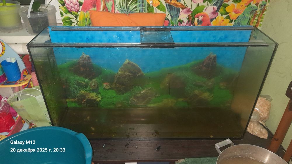 Акваріум на 100 л