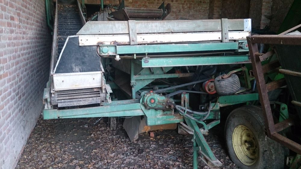 Kombajn do cebuli, zbieraczka, ogławiarka