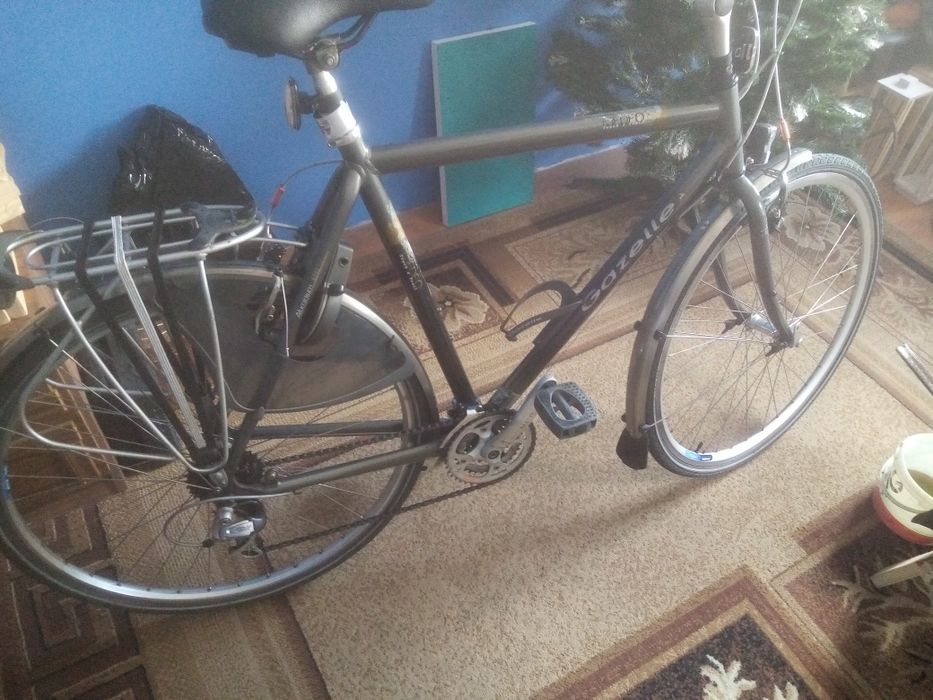Rower męski gazelle medeo