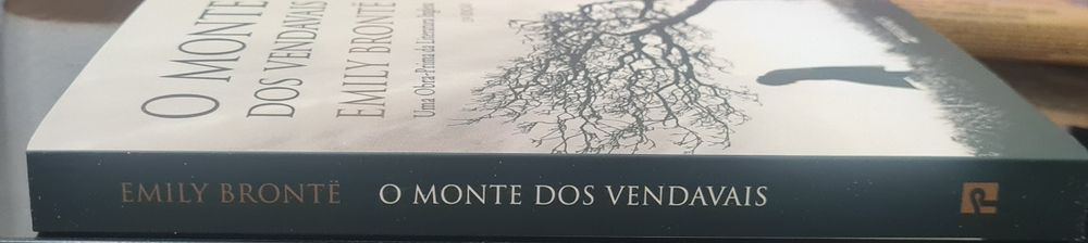 O monte dos vendavais - Emily Bronte