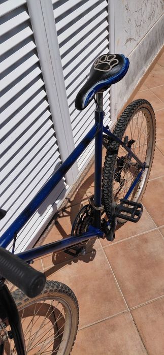 Bicicleta de montanha
