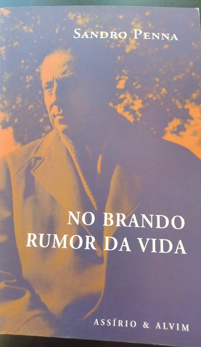 Sandro Penna [poesia]