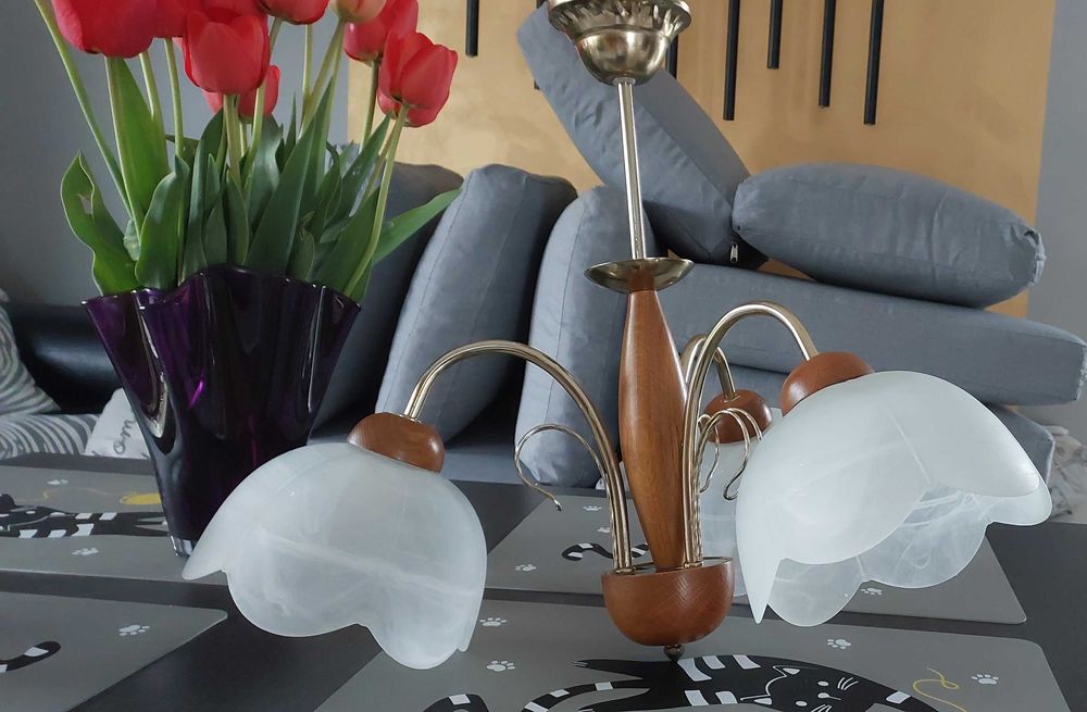 Elegancki żyrandol do salonu
