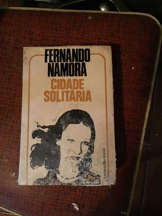 livro cidade solitaria