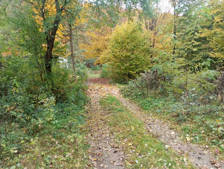 Продаж земельної ділянки 15 соток Мукачівський р-он, біля Анталії