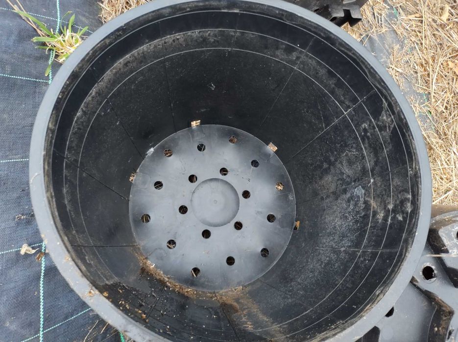 Vasos de 38 L para mirtilos