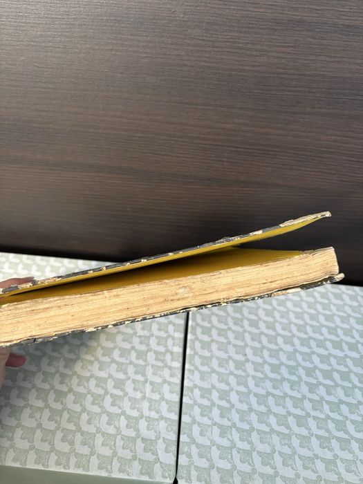 Tarpan 233 Budowa działanie eksploatacja Skwarek