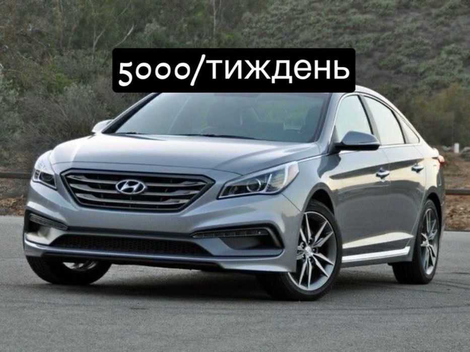 Hyundai LF вигідна,комфортна оренда Київ