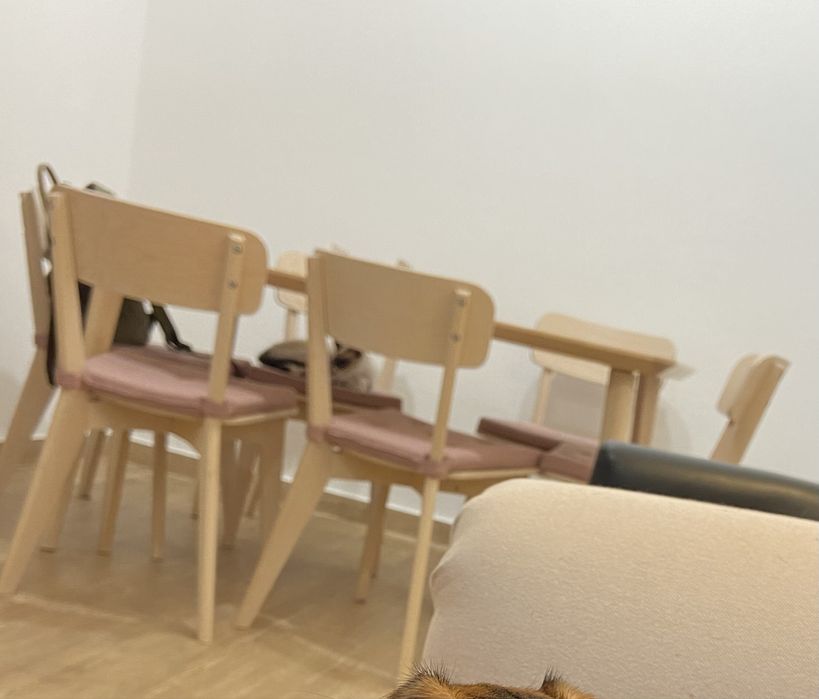 Mesa e 6 cadeiras
