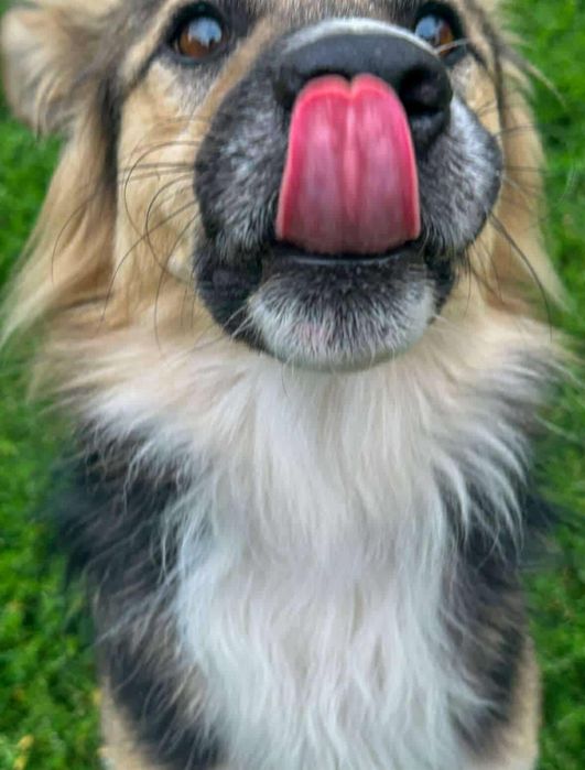 Cudny Mati szuka cudownej rodzinki