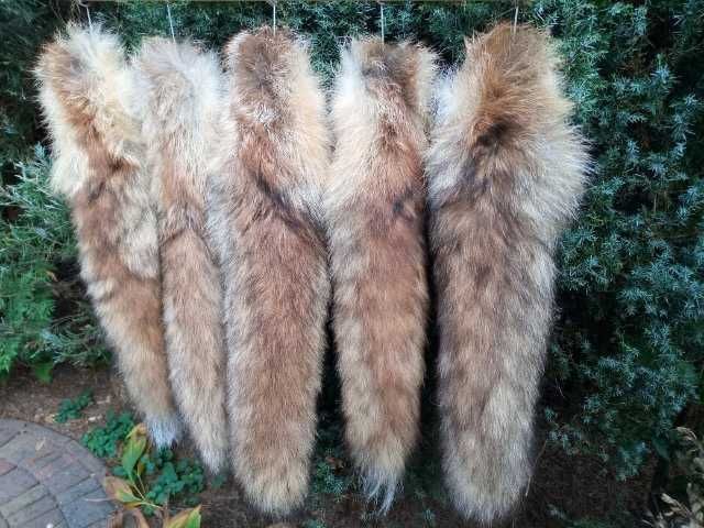 Kity lisów naturalne