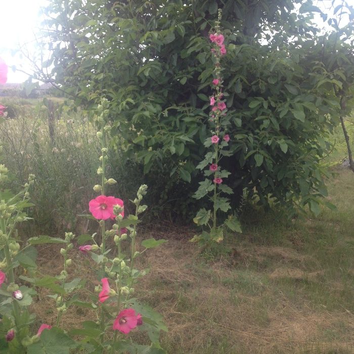 Загородный дом со всеми удобствами у реки и леса.80кв.м. Китай-город