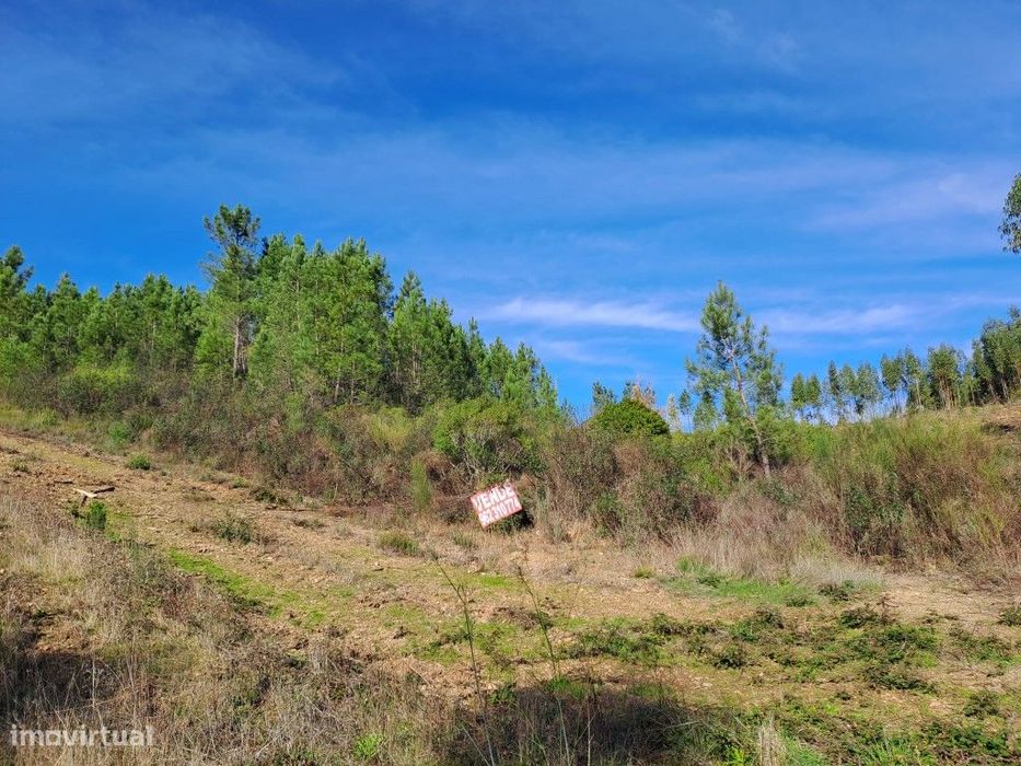 Junto à Barragem do Vergancinho - Estrada Municipal 536. Junto à es...