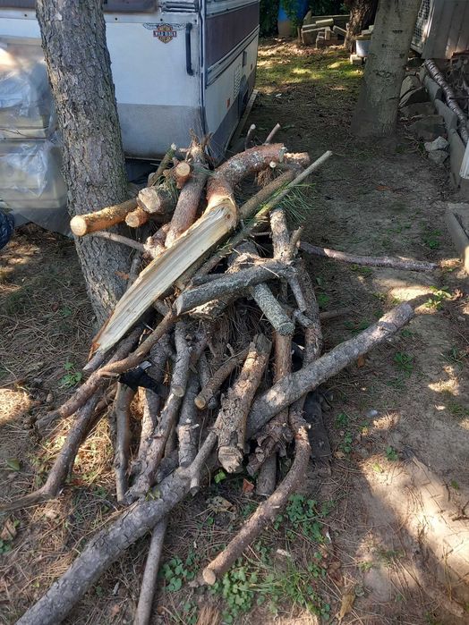 Gałęzie sosnowe, na opał, do pieca, kominka