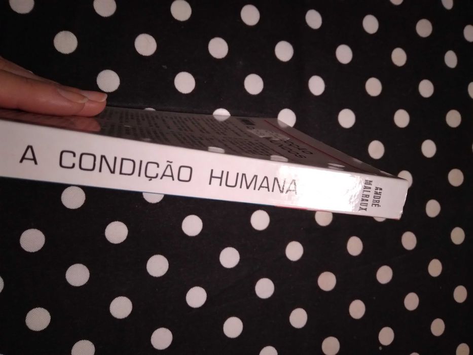 A Condição Humana