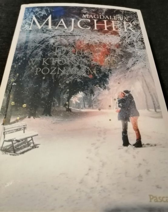 Magdalena Majcher Dzień, w którym Cię poznałam