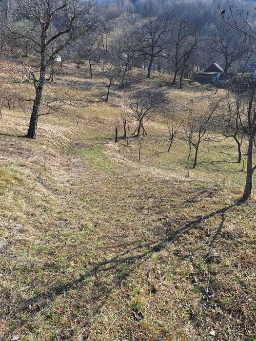 Без % Продаж будинку з ділянкою 0,60 га с. Міжброди, Чернівецька обл.