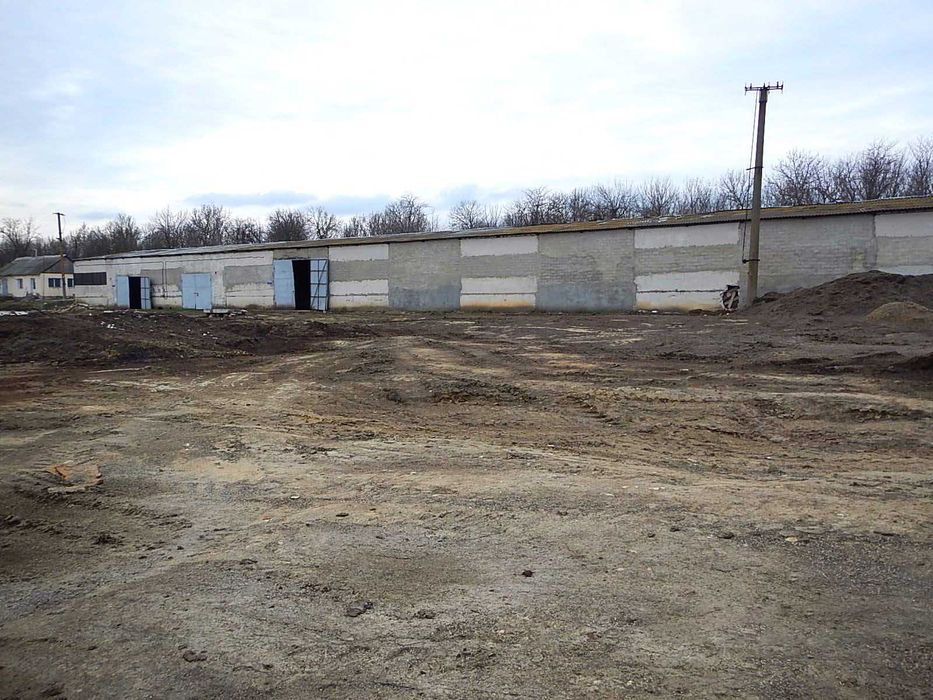 Продається завод з переробки олійних культур та комбікормів