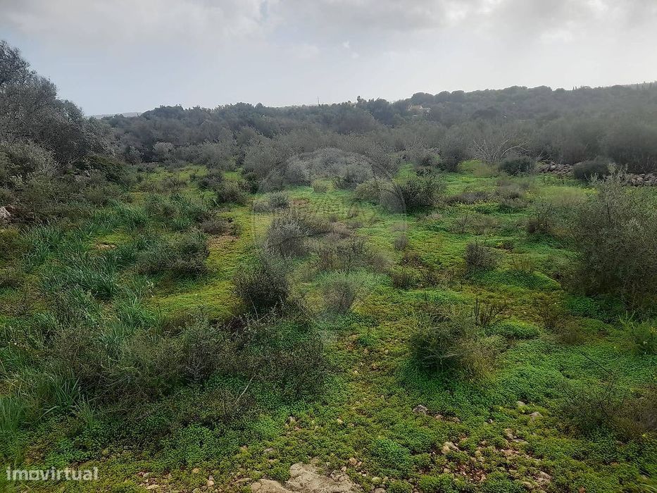 Terreno  para venda