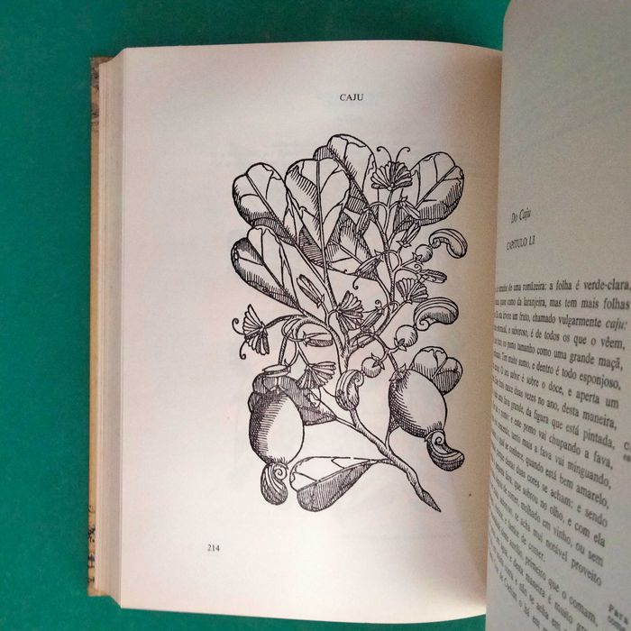 Tratado das Drogas e Medicinas das Índias Orientais - C. da Costa