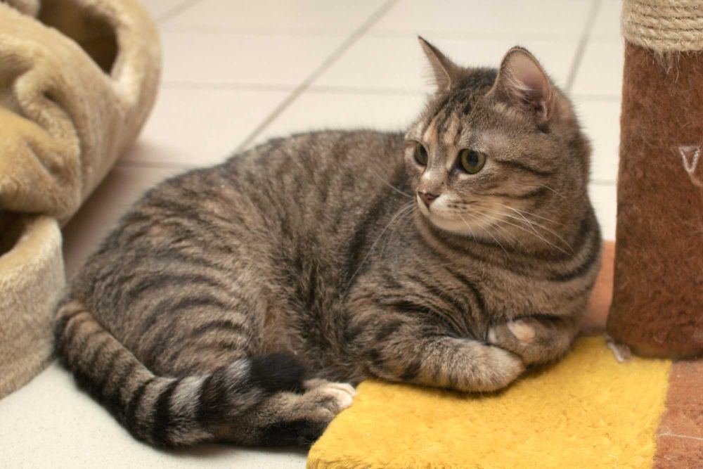 Юки подарит Вам море любви и нежности