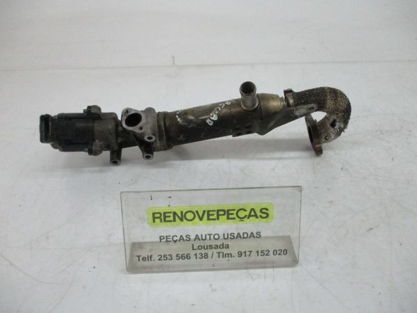 Válvula EGR JAGUAR XF (X250)