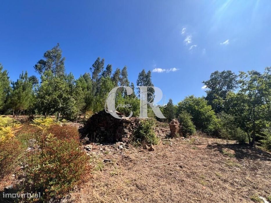 Casa de Pedra Renovada, Ruínas, Riacho, Poços e 15.570m2 de Terreno na