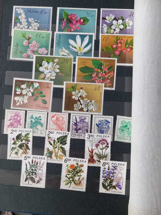 klaser ze znaczkami czyste