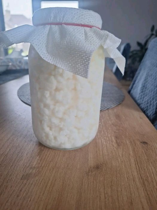 Grzybek tybetański,kefir